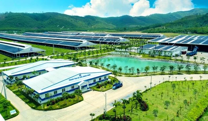 Vinamilk: Nhà đầu tư tìm kiếm những cổ phiếu chuẩn bị tốt cho chu kỳ tăng trưởng mới