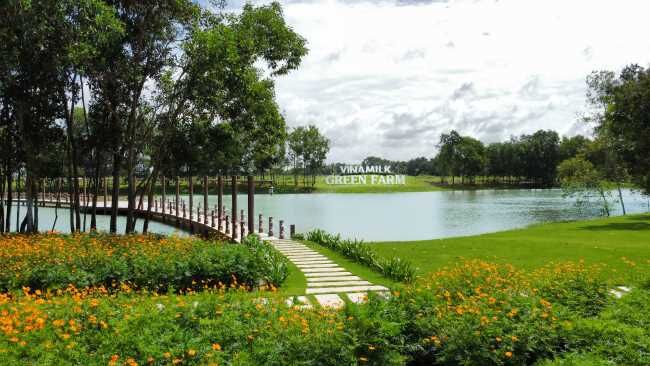 Đại diện Vinamilk: Thị trường sữa sẽ phát triển bền vững trong thời gian tới