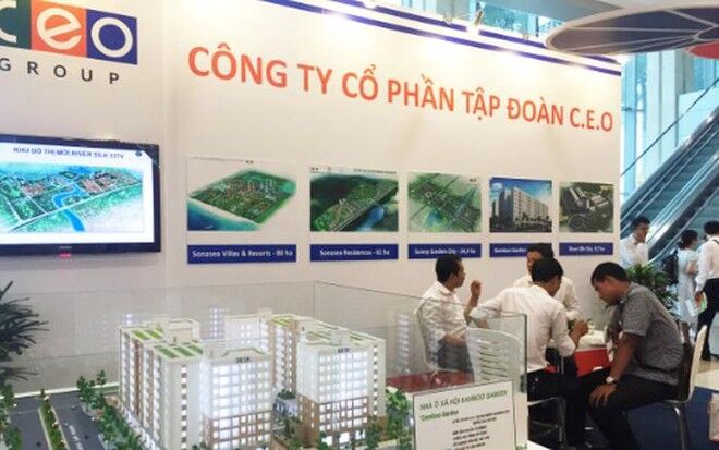 Cổ phiếu Tập đoàn C.E.O (CEO) có bị “làm giá”?