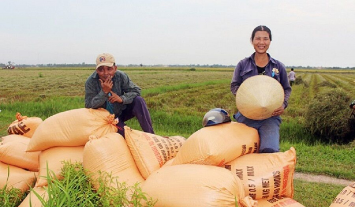 Quảng Trị trên đường chiến thắng - Bài 2: Cuộc Cách mạng Tam nông toàn dân xuống đồng