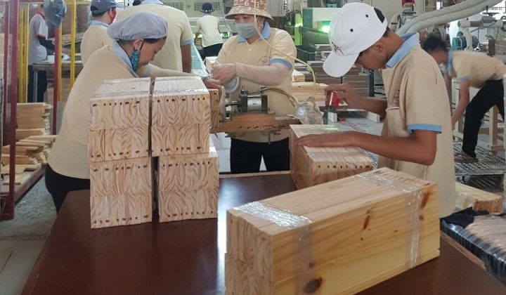 Hoa Kỳ gia hạn kết luận đối với gỗ dán cứng từ Việt Nam lần thứ 3