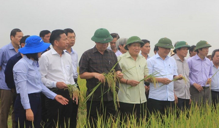 Quảng Trị trên đường chiến thắng - Bài 3: Chuyện “hai nhà” làm nông nghiệp hữu cơ