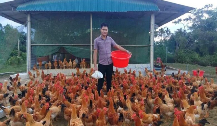 Người đảng viên trẻ làm kinh tế giỏi