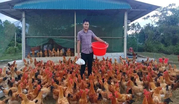 Người đảng viên trẻ làm kinh tế giỏi