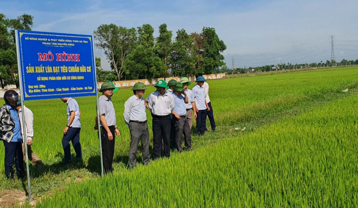 Công ty Sông Gianh: Sản xuất lúa hữu cơ, hướng đi tất yếu của một nền nông nghiệp sạch-bền vững