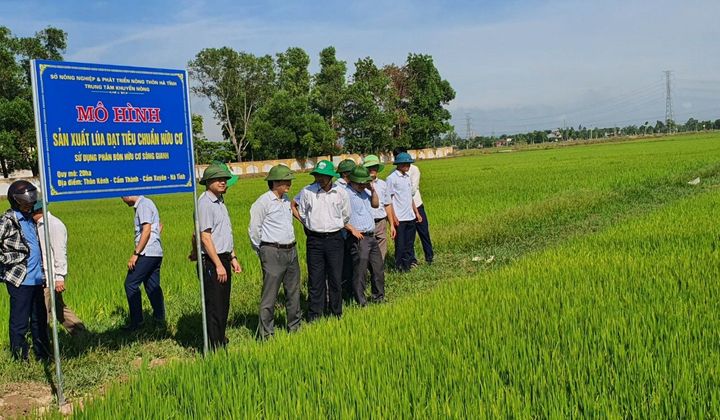 Công ty Sông Gianh: Sản xuất lúa hữu cơ, hướng đi tất yếu của một nền nông nghiệp sạch-bền vững