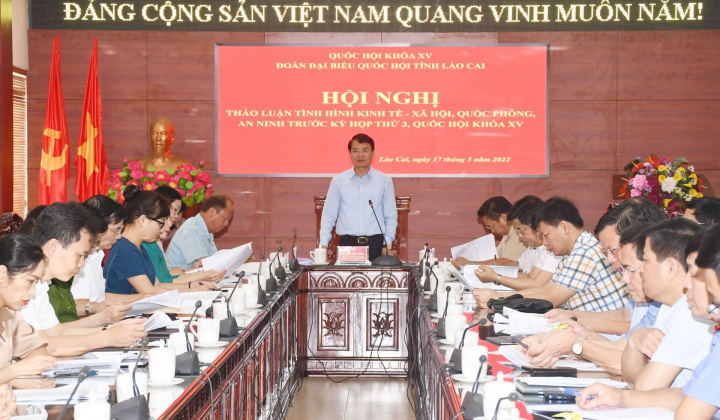 ĐBQH Lào Cai thảo luận tình hình KTXH-QPAN trước Kỳ họp thứ 3, Quốc hội khóa XV