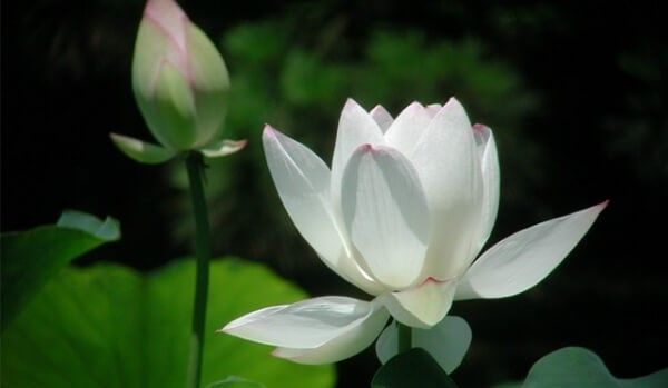 Gia đình có lao động bị tử vọng tại Ả Rập Xê-út gửi lời cảm tạ