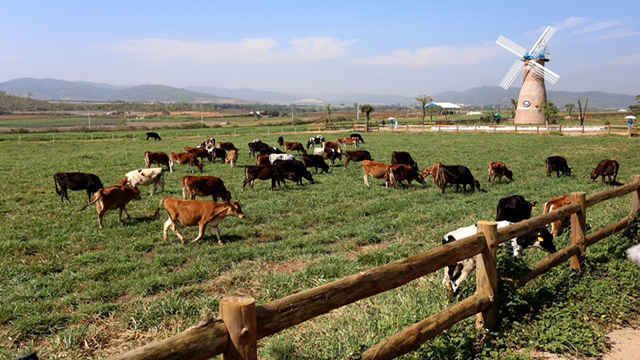 Lâm Đồng: Hướng đến hợp tác phát triển hội nhập sâu rộng tại Châu Âu
