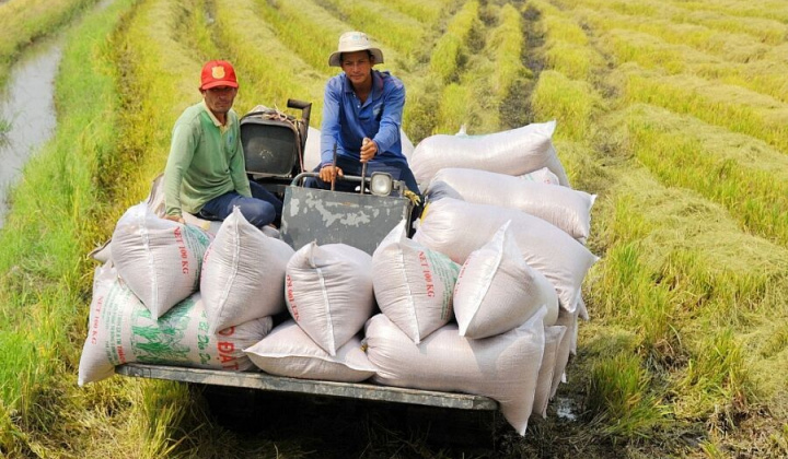 Tận dụng lợi thế để gia tăng xuất khẩu gạo sang thị trường ASEAN