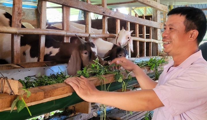 Đăk Nông: Phát huy hiệu quả từ nguồn vốn vay theo Nghị quyết số 11/NQ-CP của Chính phủ