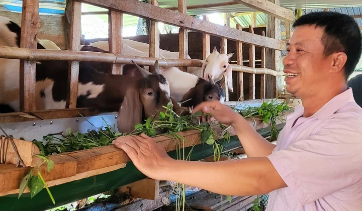Đăk Nông: Phát huy hiệu quả từ nguồn vốn vay theo Nghị quyết số 11/NQ-CP của Chính phủ