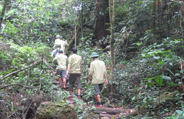Trường Sơn nơi tôi trở lại (kỳ 5): Tâm sự của những người gác rừng