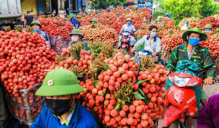 Trung Quốc thí điểm nhập khẩu nông sản trở lại