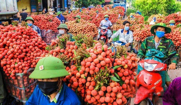 Trung Quốc thí điểm nhập khẩu nông sản trở lại
