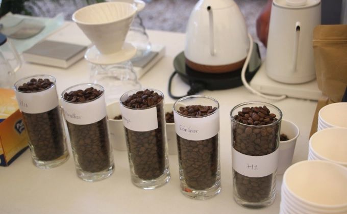 Pháp hỗ trợ cải tạo việc trồng cà phê chè ở Tây Bắc Việt Nam