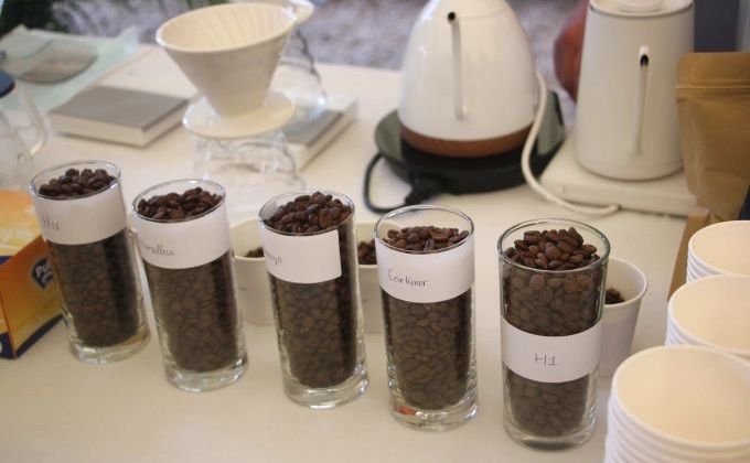 Pháp hỗ trợ cải tạo việc trồng cà phê chè ở Tây Bắc Việt Nam