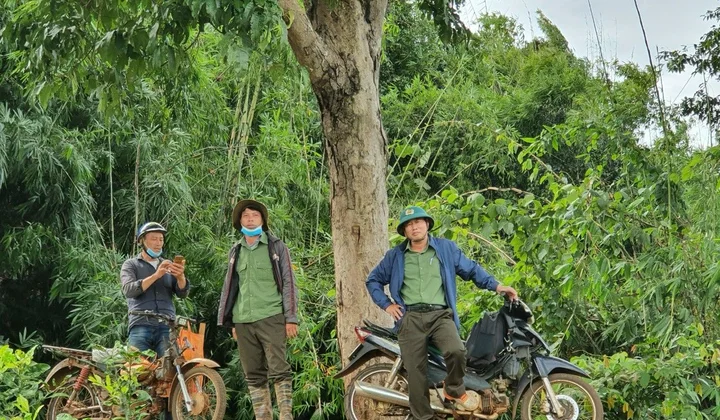 Công ty TNHH MTV Lâm nghiệp Nam Tây Nguyên: Nhiệm vụ trọng tâm là quản lý bảo vệ rừng