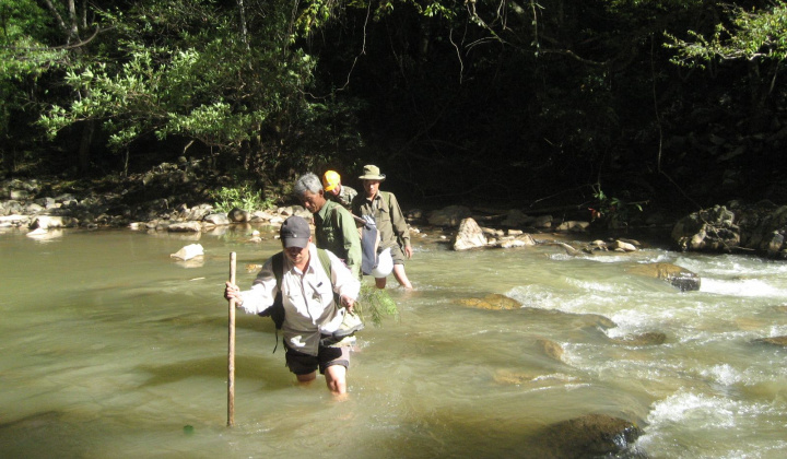 Gian nan người giữ rừng