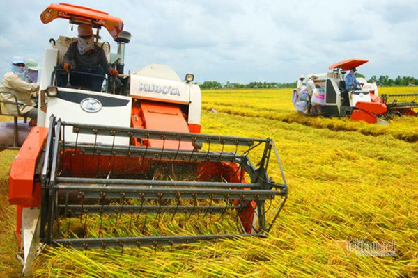 Thái Bình phải phát huy hơn nữa thế mạnh về sản xuất nông nghiệp