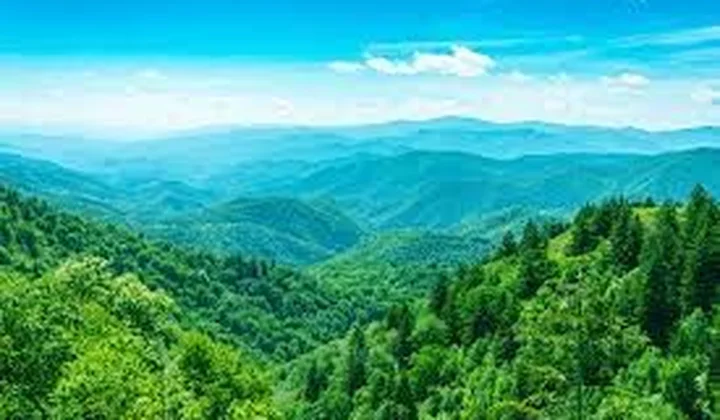 Phát triển lâm nghiệp trở thành ngành kinh tế - kỹ thuật hiện đại