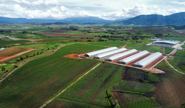 Trang trại Vinamilk Lao-Jagro tiếp nhận đàn bò sữa 1000 con đầu tiên nhập khẩu từ Mỹ