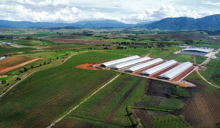 Trang trại Vinamilk Lao-Jagro tiếp nhận đàn bò sữa 1000 con đầu tiên nhập khẩu từ Mỹ
