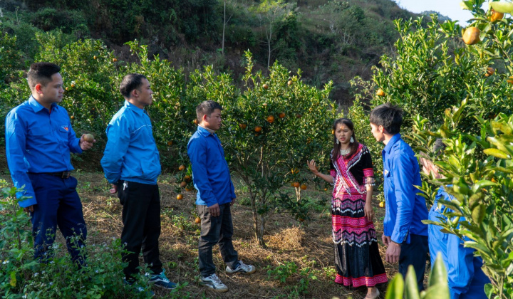 Mường Khương: Kinh tế 6 tháng đầu năm trên đà khởi sắc