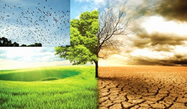 Việt Nam ứng phó với biến đổi khí hậu: Nỗ lực vì mục tiêu chung của cộng đồng quốc tế