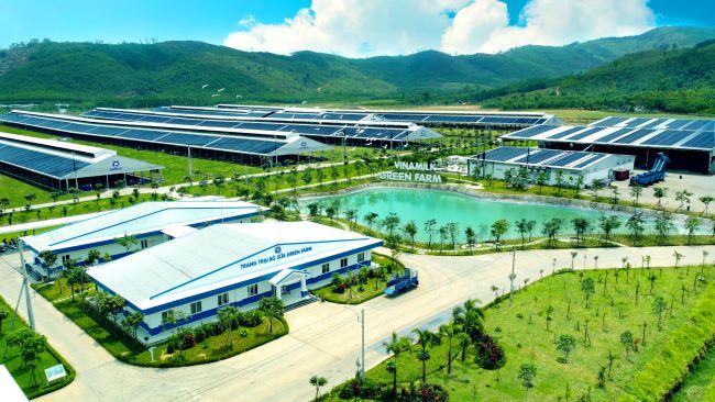 Vinamilk Green Farm đón thêm 1.550 bò sữa nhập từ Mỹ