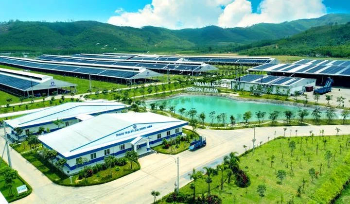 Vinamilk Green Farm đón thêm 1.550 bò sữa nhập từ Mỹ