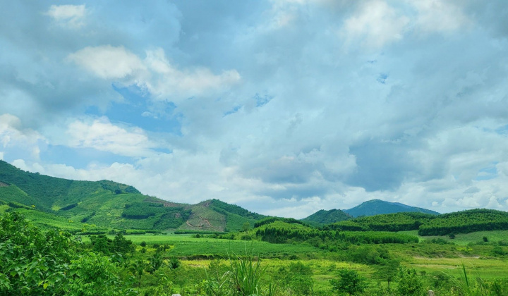 Khánh Hòa: Triển khai Chiến lược phát triển nông nghiệp, nông thôn bền vững