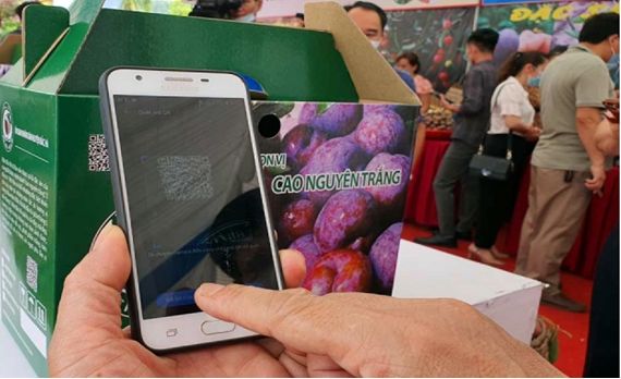 Lào Cai nỗ lực chuyển đổi số trong nông nghiệp