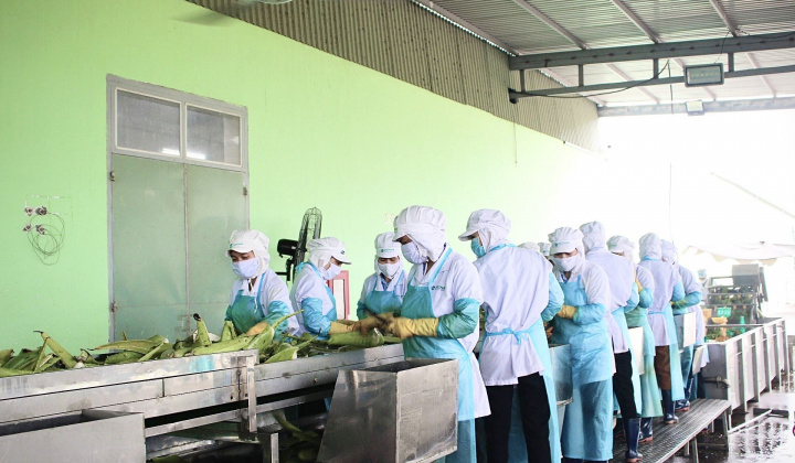 Sở LĐTB và XH Ninh Thuận - Tăng cường công tác quản lý, tập trung phát triển nguồn nhân lực