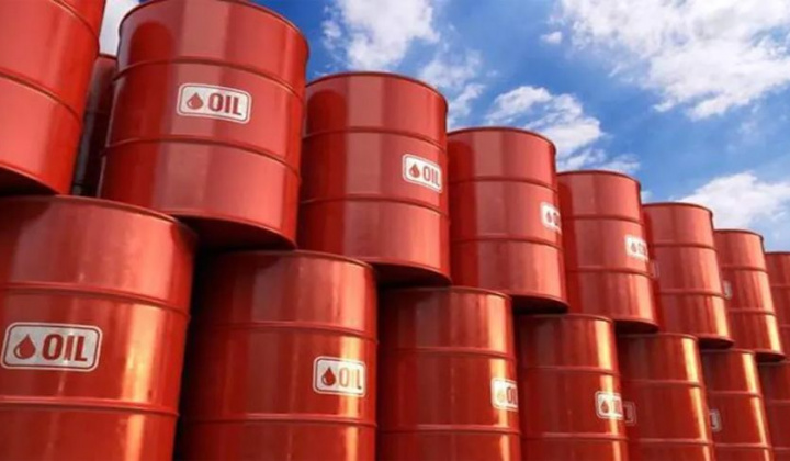 Trình UBTVQH Nghị quyết giảm thuế bảo vệ môi trường đối với xăng, dầu, mỡ nhờn