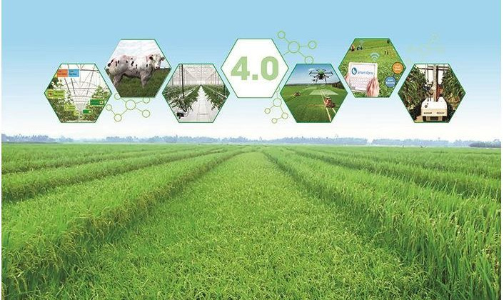 Đắk Lắk: Đưa hộ sản xuất nông nghiệp lên sàn thương mại điện tử, thúc đẩy phát triển kinh tế số