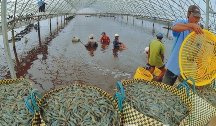 Ban hành Chương trình Quốc gia phát triển nuôi trồng thủy sản giai đoạn 2021 - 2030