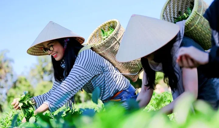 Phát triển du lịch nông thôn gắn với phát huy tiềm năng, lợi thế về nông nghiệp, làng nghề