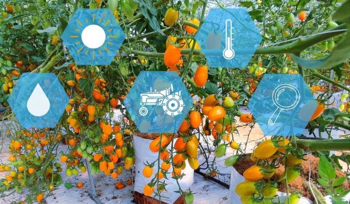 Đắk Lắk: Nhìn lại những chặng đường Chuyển đổi số