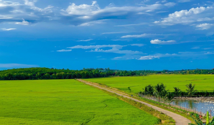 Đắk Lắk: Triển khai chính sách hỗ trợ bảo hiểm nông nghiệp