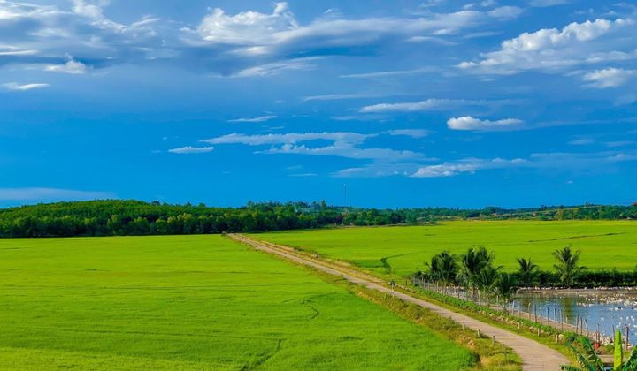 Đắk Lắk: Triển khai chính sách hỗ trợ bảo hiểm nông nghiệp