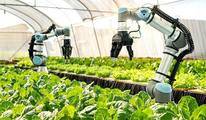 Thúc đẩy kinh tế số trong phát triển kinh tế nông thôn