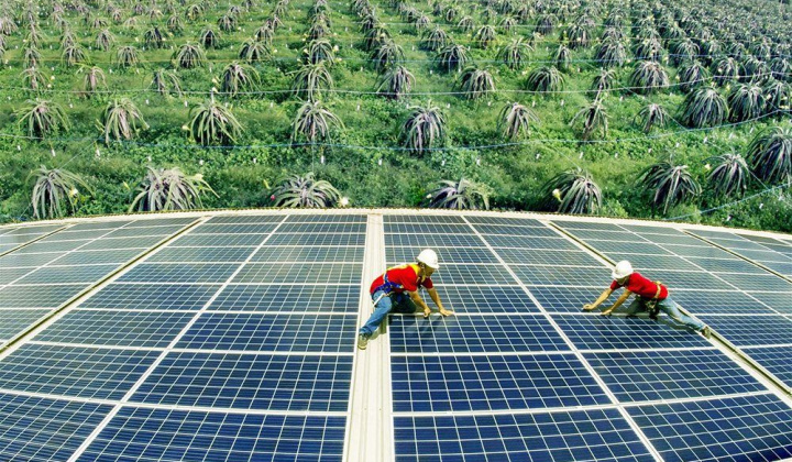 Việt Nam triển khai 6 quan điểm thực hiện cam kết tại COP 26