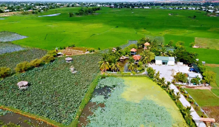 Ninh Phước - Đẩy mạnh phát triển kinh tế vùng đồng bào Chăm