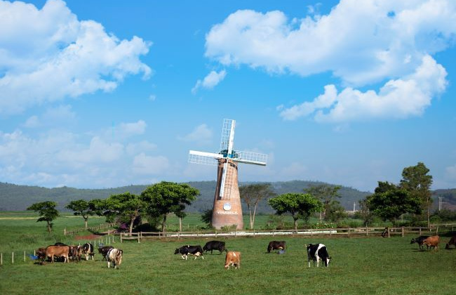 Cụm trang trại bò sữa Vinamilk Đà Lạt được vinh danh tại Giải thưởng Môi trường Việt Nam