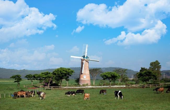 Cụm trang trại bò sữa Vinamilk Đà Lạt được vinh danh tại Giải thưởng Môi trường Việt Nam