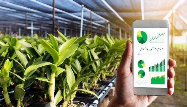 Hoàn thiện chính sách về vốn cho chuyển đổi nông nghiệp số, phát triển ngành nông nghiệp bền vững