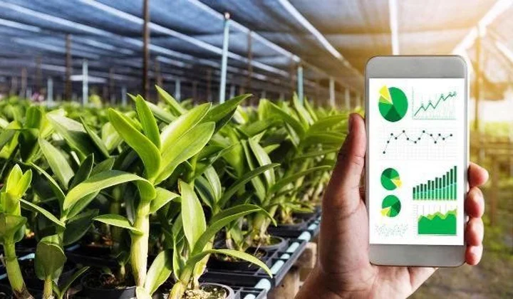 Hoàn thiện chính sách về vốn cho chuyển đổi nông nghiệp số, phát triển ngành nông nghiệp bền vững