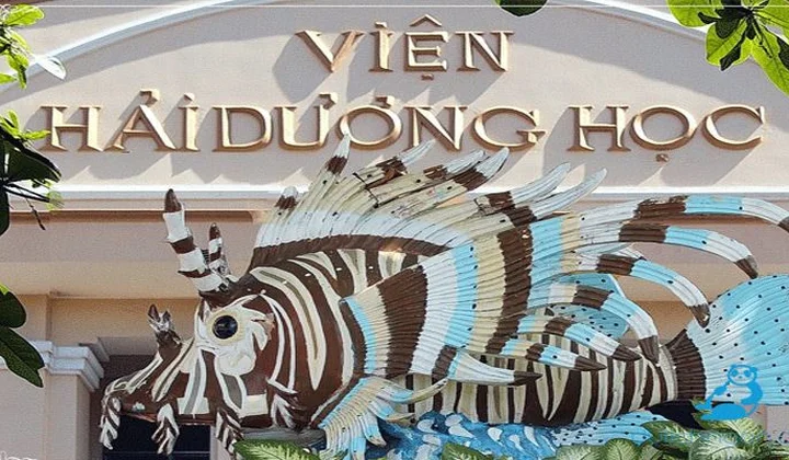 Viện Hải dương học khẳng định uy tín về nghiên cứu biển
