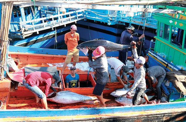 Chương trình quốc gia phát triển khai thác thủy sản hiệu quả, bền vững